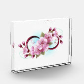Unendlichkeit mit Sakura Blossom-Blume Fotoblock (Links)