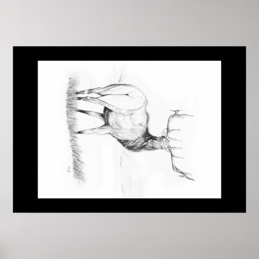 Unentscheidung ~ Elchposter Poster (Vorne)