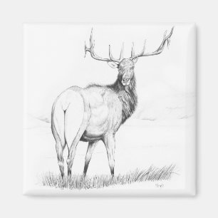 Unentscheidung - Elk Magnet