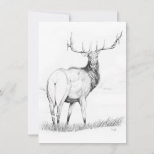 Unentschlossenheit - 4,5" x 6,25" Einladung