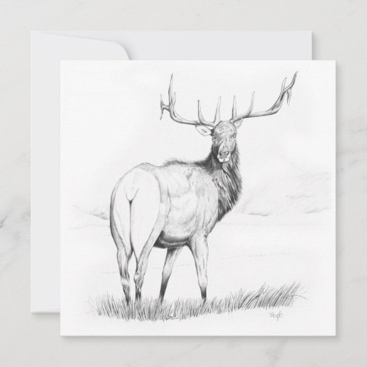 Unentschlossenheit - 5,25" x 5,25" Einladung (Vorderseite)