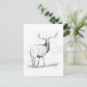 Unentschlossenheit Postkarte (Stehend Vorderseite)