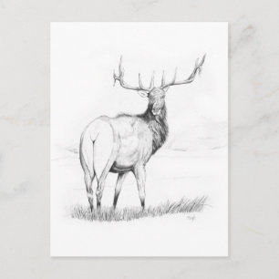 Unentschlossenheit Postkarte