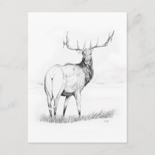 Unentschlossenheit Postkarte (Vorderseite)