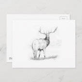 Unentschlossenheit Postkarte (Vorne/Hinten)