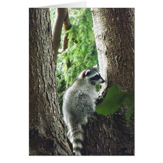 Unerwarteter Besucher (Vorne)