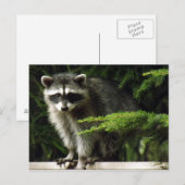 Unerwarteter Besucher, #3 Postkarte (Vorne/Hinten)