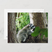 Unerwarteter Besucher, #6 Postkarte (Vorne/Hinten)