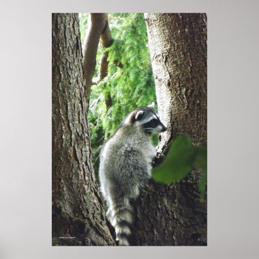 Unerwarteter Besucher, #7 Poster (Vorne)