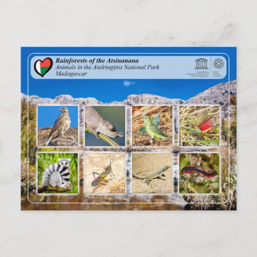 UNESCO - Atsinanana - Nationalpark Anitra Po Postkarte (Vorderseite)