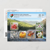 UNESCO - Atsinanana - Nationalpark Anitra Postkarte (Vorne/Hinten)