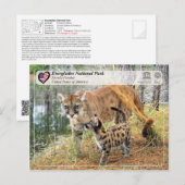 UNESCO - Everglades National Park - Florida Panthe Postkarte (Vorne/Hinten)