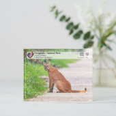 UNESCO - Everglades National Park - Florida Panthe Postkarte (Stehend Vorderseite)