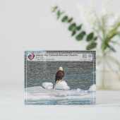 UNESCO - Glacier Bay National Park - Bald Eagle Postkarte (Stehend Vorderseite)