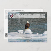 UNESCO - Glacier Bay National Park - Bald Eagle Postkarte (Vorne/Hinten)
