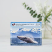 UNESCO: Glacier Bay National Park - Walbeobachtung Postkarte (Stehend Vorderseite)