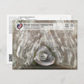 UNESCO - Hawaii Vulkane NP - Kīlauea Postcard Postkarte (Vorne/Hinten)