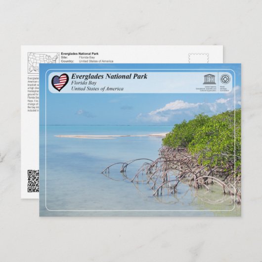 UNESCO - Nationalpark Everglades - Bucht von Flori Postkarte (Vorne/Hinten)