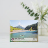 UNESCO - Olympischer Nationalpark - Fluss Quinault Postkarte (Stehend Vorderseite)