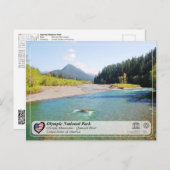 UNESCO - Olympischer Nationalpark - Fluss Quinault Postkarte (Vorne/Hinten)