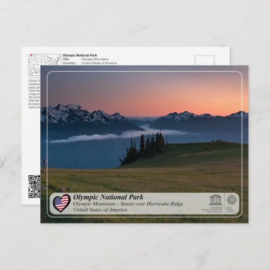 UNESCO - Olympischer Nationalpark - Hurrikan Ridge Postkarte (Vorne/Hinten)