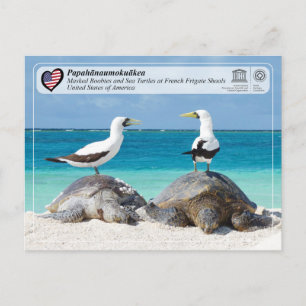 UNESCO - Papahānaumokuākea - Französische Wassersc Postkarte