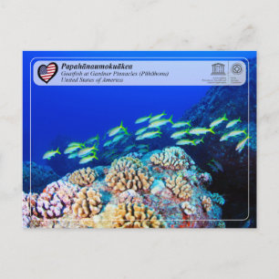 UNESCO - Papahānaumokuākea - Gardner Pinnacles Postkarte