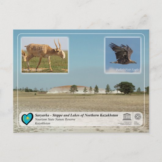 UNESCO - Saryarka - Naturschutzgebiet Naurzum Staa Postkarte (Vorderseite)