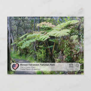 UNESCO - Vulkane in Hawaii NP - "Ola'a Forest Post Postkarte