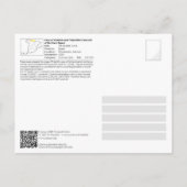 UNESCO Welterbe - Tito Bustillo Höhle Postkarte (Rückseite)