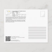 UNESCO WH- Altxerri Höhle / Cueva de Altxerri Postkarte (Rückseite)