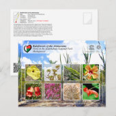 UNESCO WH- Atsinanana - Nationalpark Andohahela Postkarte (Vorne/Hinten)