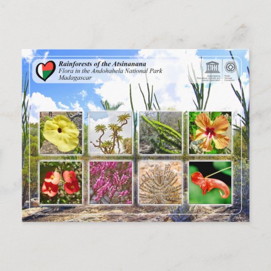 UNESCO WH- Atsinanana - Nationalpark Andohahela Postkarte (Vorderseite)