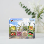 UNESCO WH- Atsinanana - Nationalpark Andohahela Postkarte (Stehend Vorderseite)