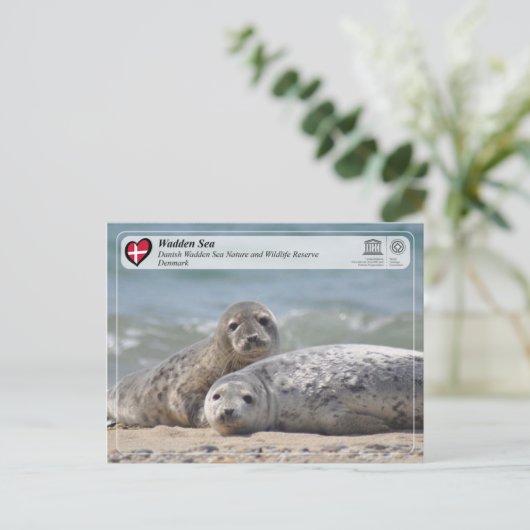 UNESCO WH- Dänisches Wattenmeer Postkarte (Stehend Vorderseite)