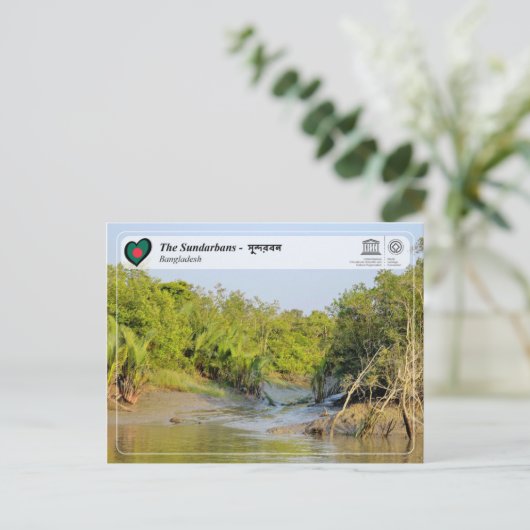 UNESCO WH- Die Sundarbans - সু ন্ দ র ব ন Postkarte (Stehend Vorderseite)