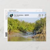 UNESCO WH- Die Sundarbans - সু ন্ দ র ব ন Postkarte (Vorne/Hinten)