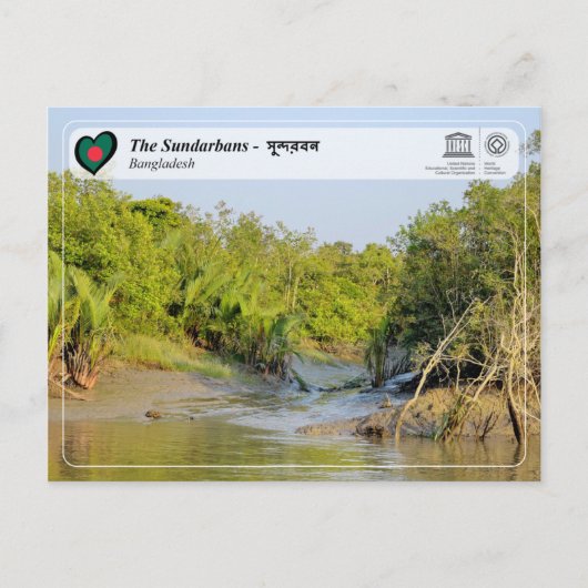 UNESCO WH- Die Sundarbans - সু ন্ দ র ব ন Postkarte (Vorderseite)