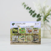 UNESCO WH- Die Sundarbans Postkarte (Stehend Vorderseite)