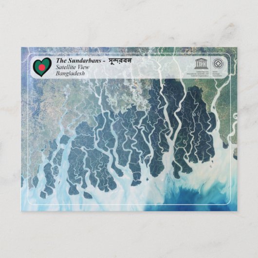 UNESCO WH- Die Sundarbans Postkarte (Vorderseite)