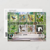 UNESCO WH- Die Sundarbans Postkarte (Vorne/Hinten)