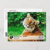 UNESCO WH- Die Sundarbans Postkarte (Vorne/Hinten)