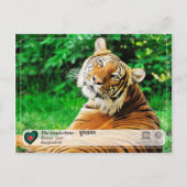 UNESCO WH- Die Sundarbans Postkarte (Vorderseite)