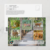 UNESCO WH- Die Sundarbans Postkarte (Vorne/Hinten)