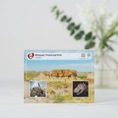 UNESCO WH- Dinosaur Provincial Park Postkarte (Stehend Vorderseite)