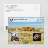 UNESCO WH- Dinosaur Provincial Park Postkarte (Vorne/Hinten)
