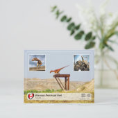 UNESCO WH- Dinosaur Provincial Park Postkarte (Stehend Vorderseite)