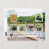 UNESCO WH- Dja Faunal Reserve Postkarte (Vorne/Hinten)