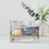 UNESCO WH- El Pindal Höhle / Cueva del Pindal Postkarte (Stehend Vorderseite)