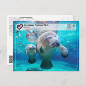 UNESCO WH- Everglades National Park - Manatee Postkarte (Vorne/Hinten)